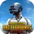 pubgmobile国际版官方